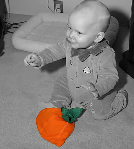 A neat picture by Olivia's Daddy.