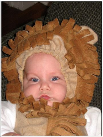 Will is a mighty lion!