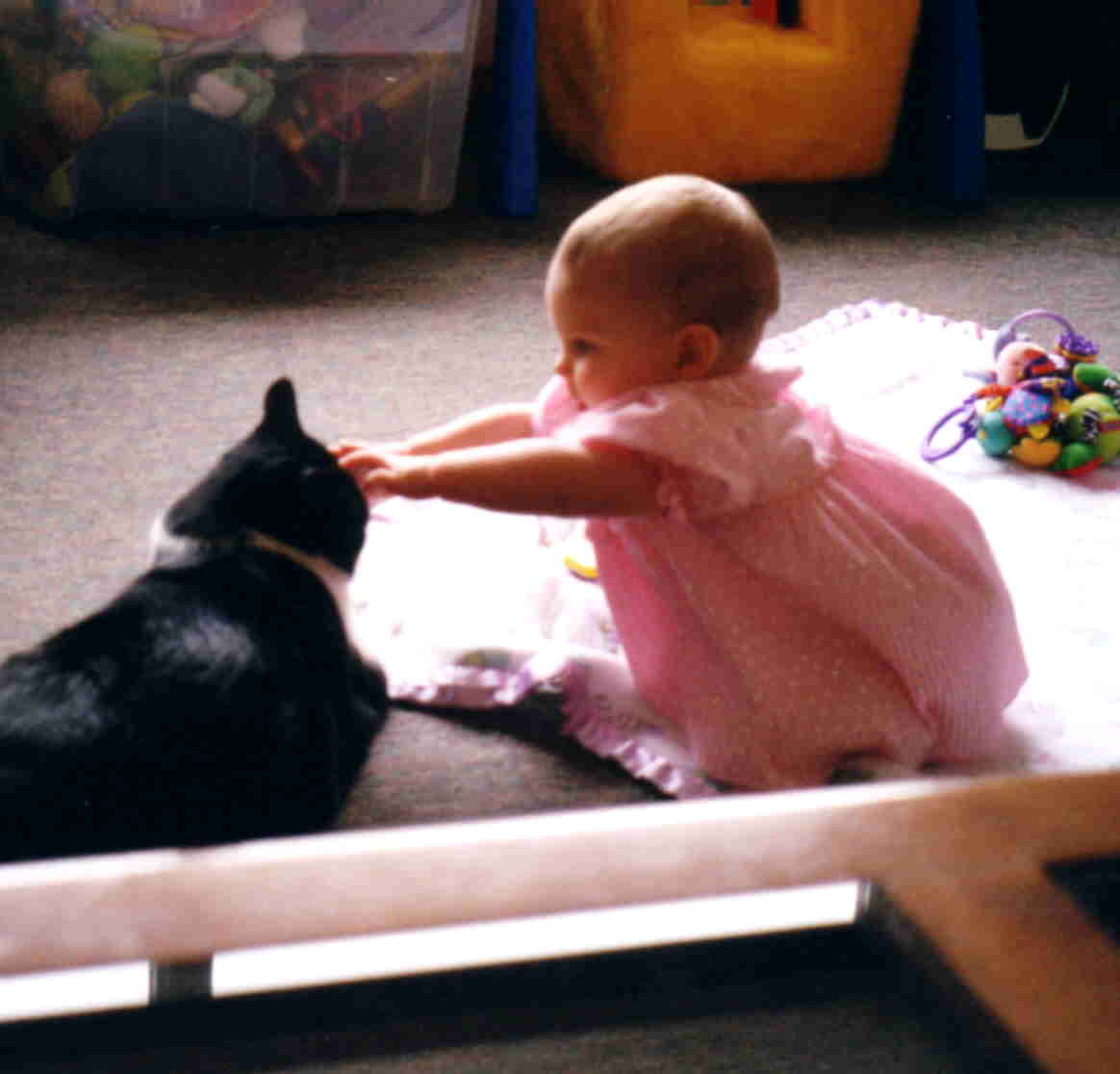 Ashlynn likes her kitty cats.  
