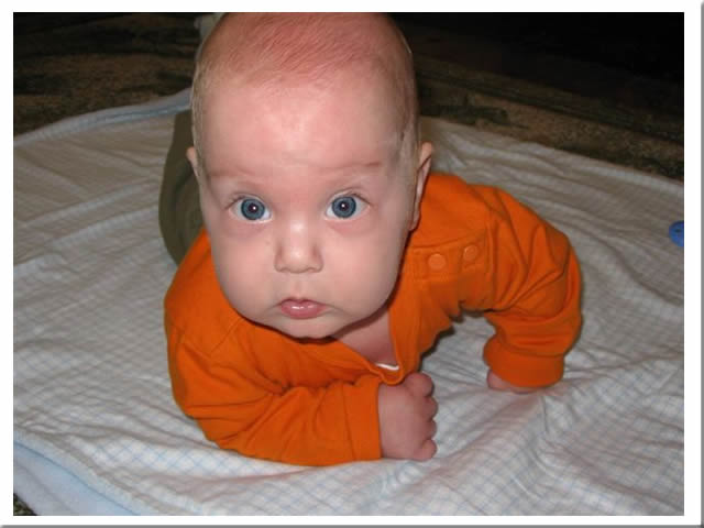 Will is 6 months old! Oct 25th, 2005